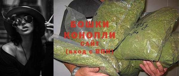 PSILOCYBIN Лиски